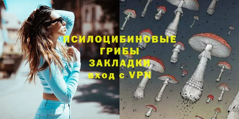 Галлюциногенные грибы Psilocybe  Верхоянск 